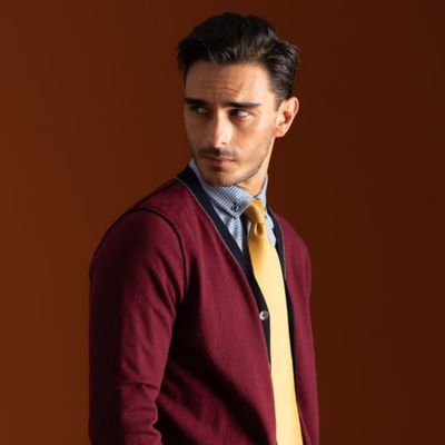 Ragazzo con camicia con collo button down, cravatta e cardigan